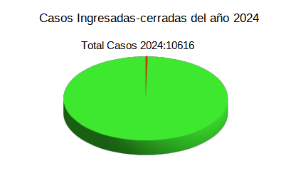 Casos Ingresados 2024