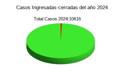 Casos Ingresados 2024