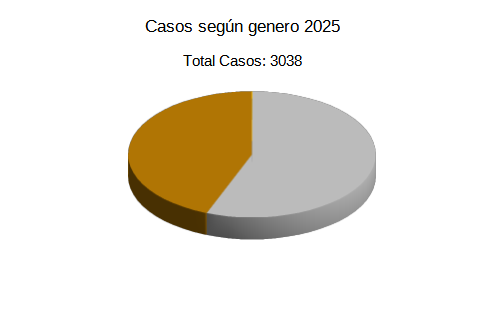Estadisticas de Genero 2025