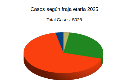 Estadística por Franja Etaria 2025