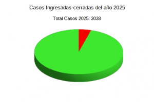 Casos Ingresados 2025