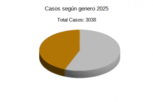 Estadisticas de Genero 2025
