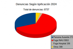 Estadística según tipificación 2024