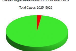 Casos Ingresados 2025