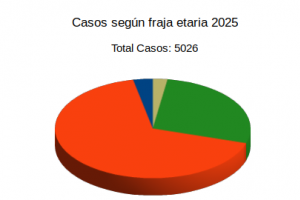 Estadística por Franja Etaria 2025