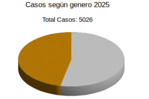 Estadisticas de Genero 2025