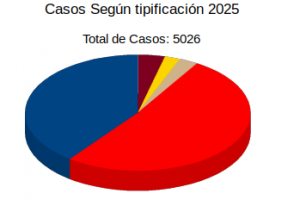 Estadisticas por tipificación 2025